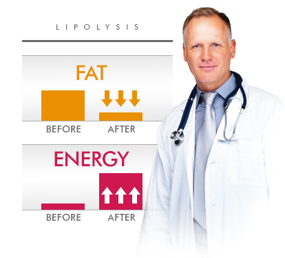 The science behind weight loss